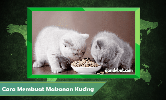 Cara Membuat Makanan Kucing Sendiri