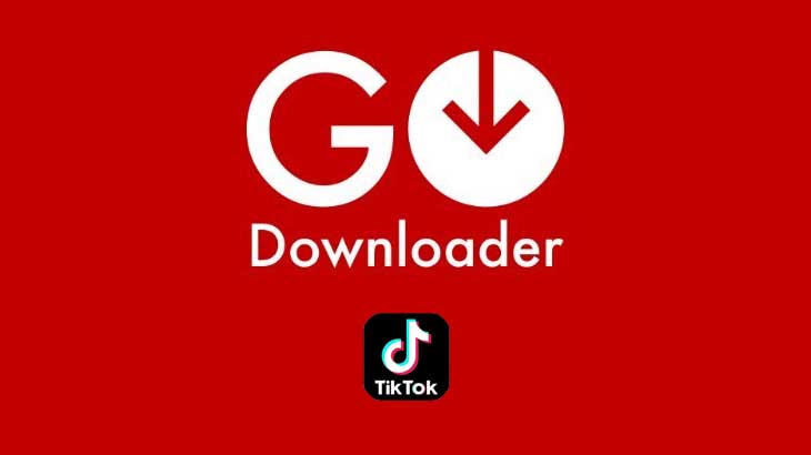 GoDownloader.com TikTok