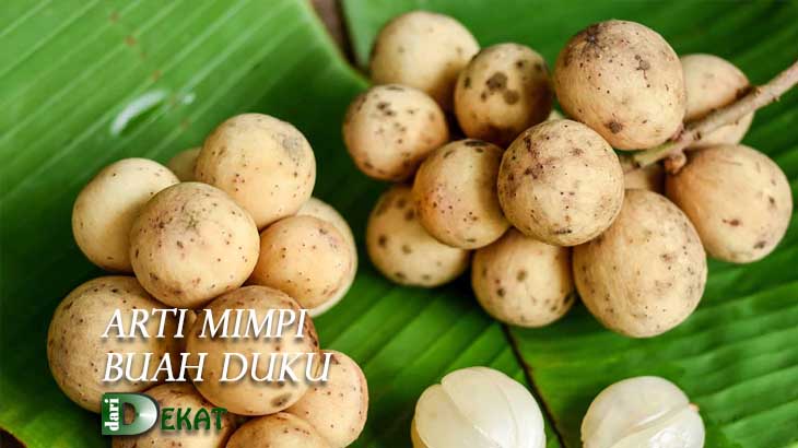 Arti Mimpi Buah Duku